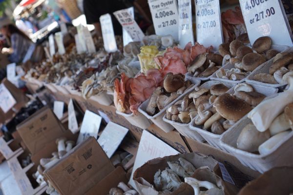 Campbell Farmer's Market by null