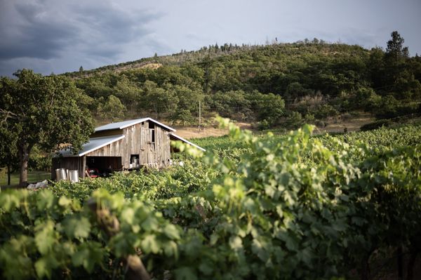 Weisinger Family Winery by null