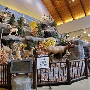Cabela’s - Guns & Ammo Near Me - Garner, North Carolina