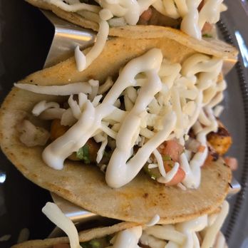 Ta’Chingon Mexican Kitchen - Mexican Near Me - Winter Park, Florida