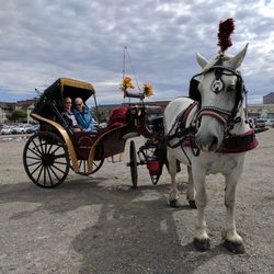 Old Town Carriage