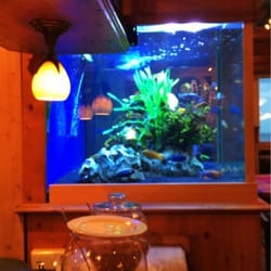 Kaiserpavillon - Stillleben: Erdbeerbowle & Aquarium