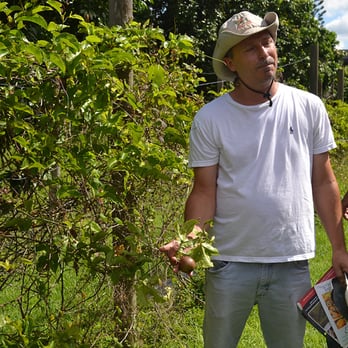Fresh Gardens - Farmer Bob with passion fruit - Food Tours Near Me - Homestead, Florida Fresh Gardens - Farmer Bob with passion fruit - Food Tours Near Me - Homestead, Florida