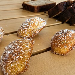 Little King Coffee - Madelines