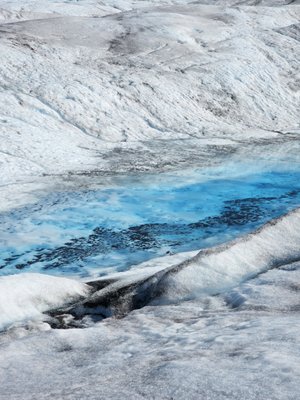 Alaska Helicopter Tours by null