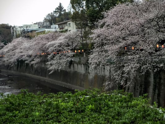 Edogawa Park Parks 関口2 1 江戸川橋駅 文京区 東京都 Japan Phone Number