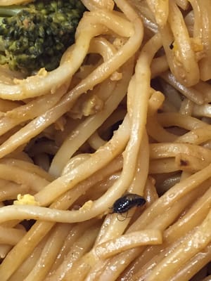 Cafe Panda Garden by null