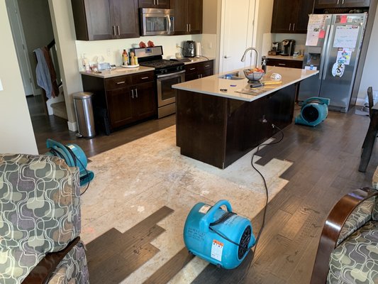 House Cleaning Services Nashville TN