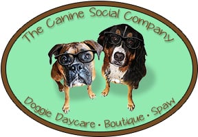 The Canine Social Company Image