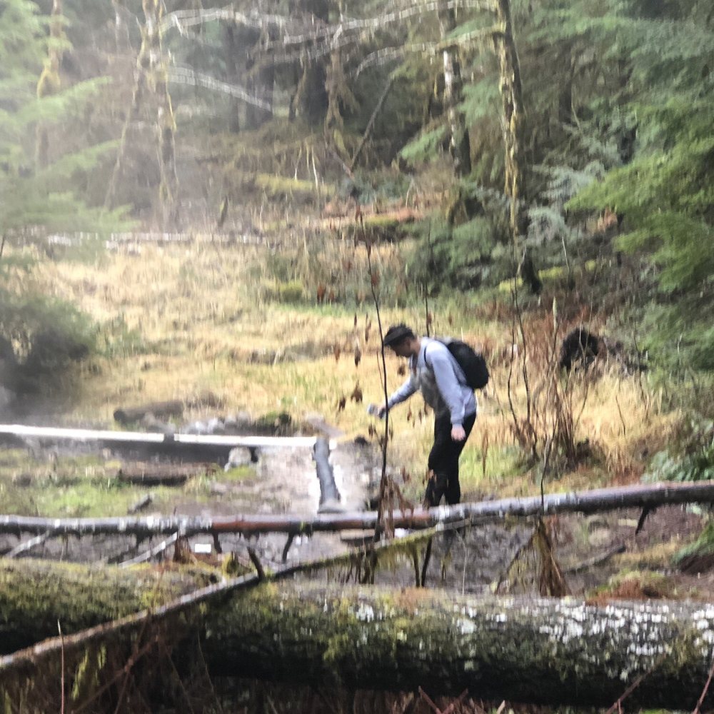 Bagby Hot Springs - Lando checking out one of the sources - Parks Near Me - Estacada, Oregon Bagby Hot Springs - Lando checking out one of the sources - Parks Near Me - Estacada, Oregon
