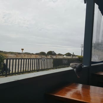 Neptune's Net - Look who's joining me for lunch! :) - Seafood Near Me - Malibu, California Neptune's Net - Look who's joining me for lunch! :) - Seafood Near Me - Malibu, California