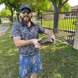 Forest Creek Golf Club - Moved a cool turtle off of the cart path.
