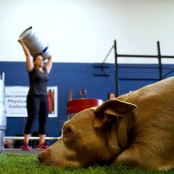 BodyTribe Fitness - Such a typical BodyTribe photo: A strong woman, with a dog in the foreground.