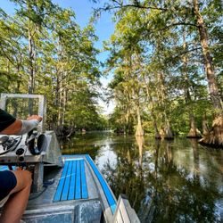 Louisiana Tours