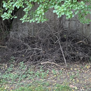 Fairway Custom Landscaping - Garbage left on my property after cutting neighbors lawn. - Landscaping Near Me - Melrose Park, Illinois Fairway Custom Landscaping - Garbage left on my property after cutting neighbors lawn. - Landscaping Near Me - Melrose Park, Illinois
