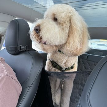 Barkin' Creek - Lamar - Pet Groomers Near Me - Austin, Texas