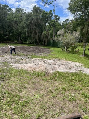 Tree removal and Stump Removal - Removed trees and Stumps and regraded area for customer