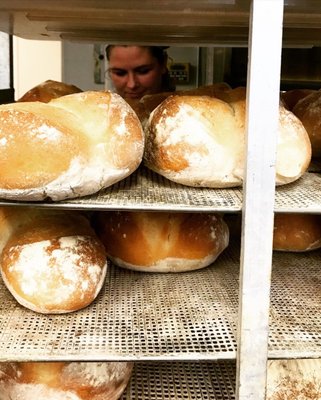 Nantucket Bake Shop by null