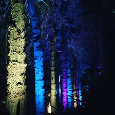 National Trust - Mount Stewart by null