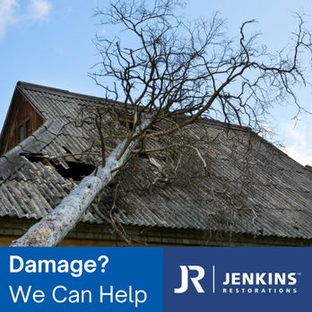 Jenkins Restorations - a damaged roof and a tree - Damage Restoration Near Me - Tampa, Florida Jenkins Restorations - a damaged roof and a tree - Damage Restoration Near Me - Tampa, Florida
