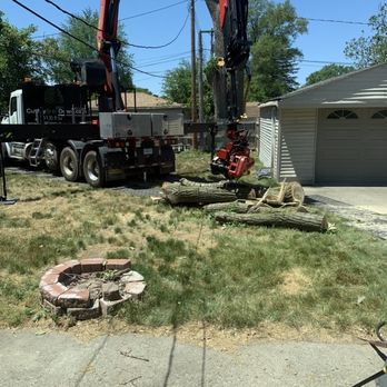 Cut My Tree Down - CutMyTreeDown with access to my yard to cut down my backyard neighbors tree. - Tree Services Near Me - Taylor, Michigan