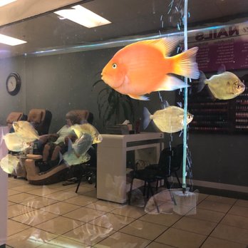 Jada Nails - Beautiful aquarium - Nail Salons Near Me - New Port Richey, Florida