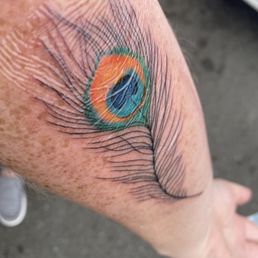 Beautiful peacock feather