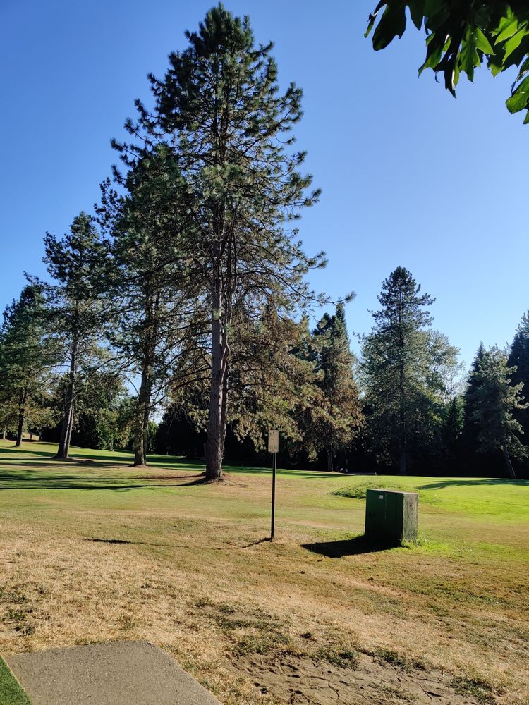 KENSINGTON PITCH AND PUTT Updated August 2024 17 Photos 5889