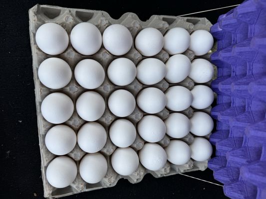 Voortman Egg Ranch by null