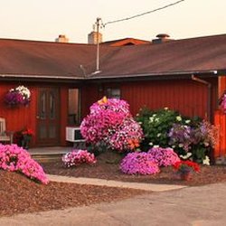 Sharkey's Greenhouses