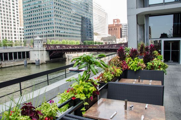 South Branch Tavern & Grille (The Loop - Chicago) by null
