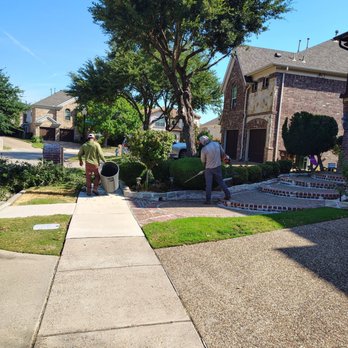 Hernandez Tree Experts - Tree Services Near Me Hernandez Tree Experts - Tree Services Near Me