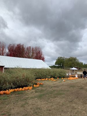 Oregon Heritage Farms by null