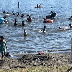 Spanaway Park - Park is busy today. Great place for kids to learn to swim. They can touch the bottom with no inclines or drop off