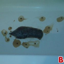 All Surface Tub & Tile