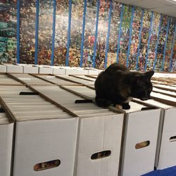 Book and Game Emporium - two of my favorite things
