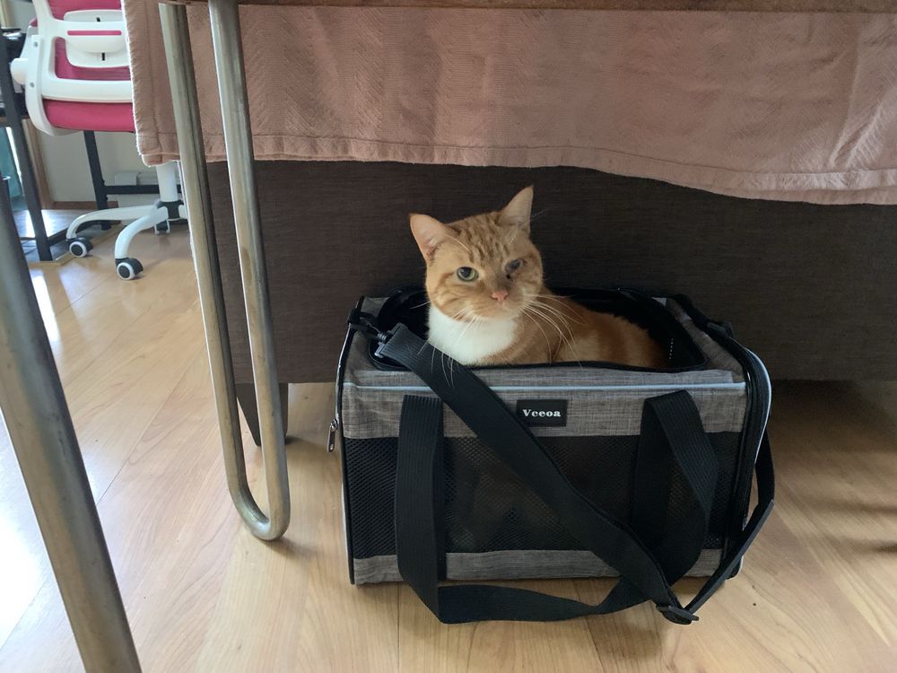 Bodywork Professionals