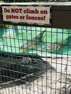 Edisto Island Serpentarium by null