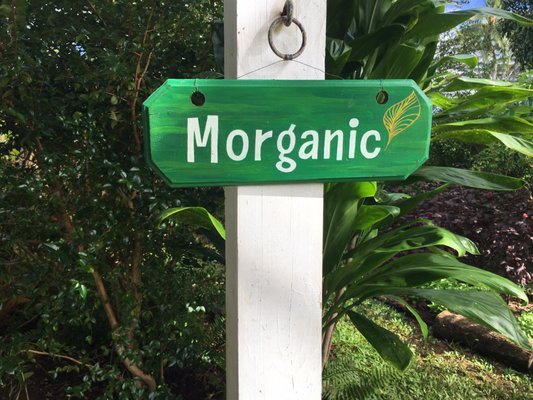 Kauai Farmacy by null