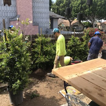 Moon Valley Nurseries - Moon Valley Nursery - Tree Services Near Me - Chino, California Moon Valley Nurseries - Moon Valley Nursery - Tree Services Near Me - Chino, California