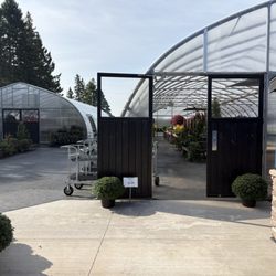 The Fig Tree - Green houses