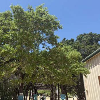 Driftwood Estate Winery - Wineries Near Me - Driftwood, Texas