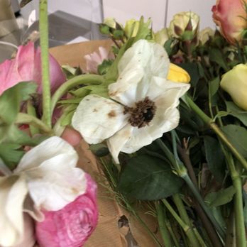 UrbanStems - Dead flowers from second shipment - Florists Near Me UrbanStems - Dead flowers from second shipment - Florists Near Me