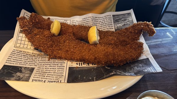 Boston Commons by null