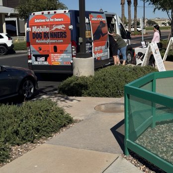 Pixie Sticks Dog Boutique - Mobile dog exercise service.  Running on the treadmill - Pet Groomers Near Me - Gilbert, Arizona