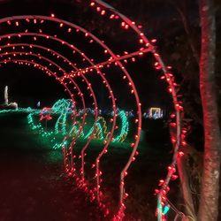 Nights of Shimmering Lights