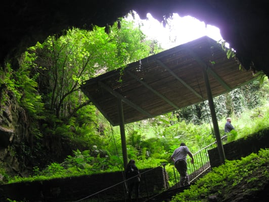 Dunmore Cave by null