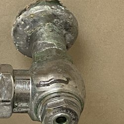 Wendy's - Cracked toilet with mold