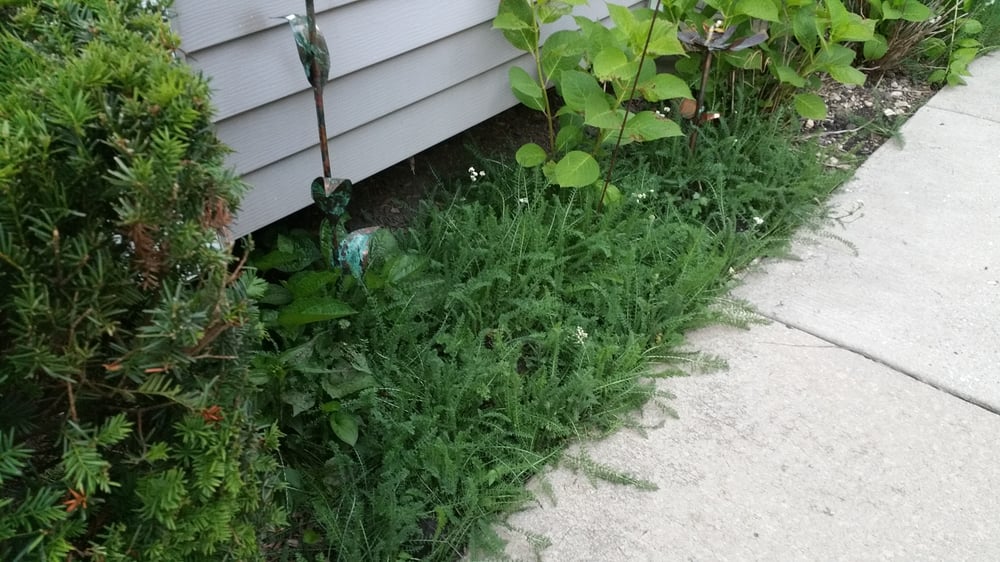 WILLIAMSON MANAGEMENT 27 Reviews Property Management 215 William