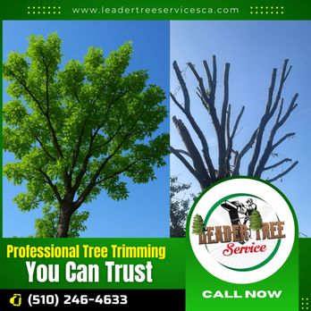 Leader Tree Service - Tree Services Near Me Leader Tree Service - Tree Services Near Me